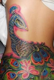 modello di tatuaggio colorato grande pavone stile illustrazione posteriore