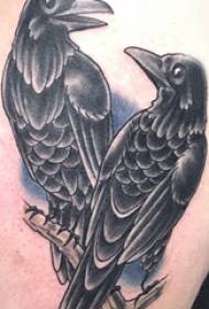 djem zogj tatuazhesh në anën e pasme të pikturuara me tatuazhe zogjsh