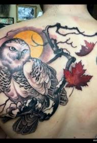 volver patrón de tatuaxe de lúa de arce de rama de búho de escola europea e americana