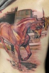 przystojny kolor piękny wzór tatuażu konia