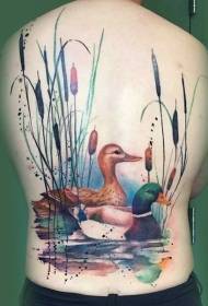 Modello di tatuaggio di anatra selvatica che nuota in stile realistico sul retro