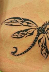Feilong tetování postava dívka břicho drak tetování obrázek