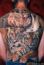 azu Amazing real style yi nnukwu tiger ezinụlọ tattoo ụkpụrụ