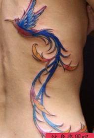 derék tetoválás minta: derék színű madár tetoválás minta tetoválás kép
