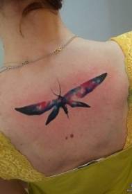 torna pattern di tatuaggi di stelle europei è americani Starsdragonfly