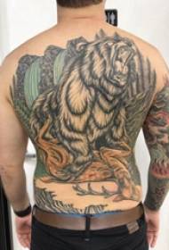 thwala tattoo boy back bear totem tattoo picture