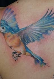 задній колір школи татуювання птах візерунок