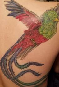 tatuointi Bird boy back bird tatuointi kuva