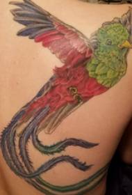 tatuagem pássaro menino volta pássaro tatuagem imagens