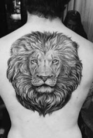 buachaillí dubh liath sceitse pointe pricking teicníc limistéar mór pictiúir domineering tattoo ainmhithe leon