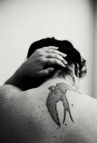 背部精致的黑白燕子纹身图案