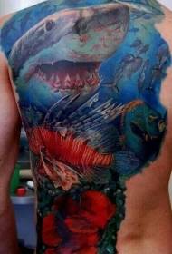 terug kleur haai en Marine fish tattoo patroon