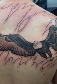 back realistic Color eagle tattoo pattern