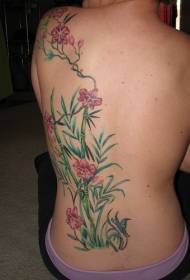 i-orchid ekhulayo ne-bamboo tattoo iphethini