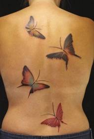 Înapoi model de tatuaj fluture colorat înapoi