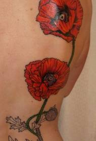 nugaros raudonos aguonos su vabalo tatuiruotės modeliu