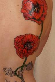 iipoppies ezibomvu zangasemva kunye nephethini ye-bhungane ye tattoo