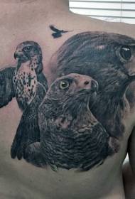 indietro realistico stupendo Realistico tutti i tipi di disegni del tatuaggio dell'aquila