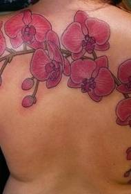 Iphethini elihle le-Phalaenopsis Flower emuva le-tattoo