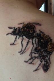 назад реална црна и кафеава мравка тетоважа шема