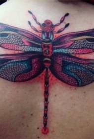 Back colorful dragonfly big tattoo pattern