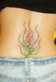 Zpět Pink Lily Tattoo Pattern