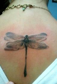 tilbage elegantdragonfly Realistisk tatoveringsmønster