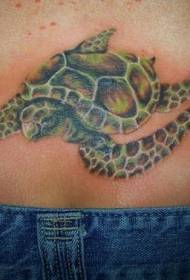 geri gerçekçi gerçekçi kaplumbağa dövme deseni