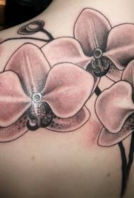 leđa i realističan ružičasti uzorak tetovaže orhideja u boji