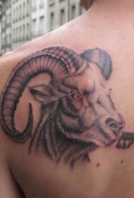 back beautiful ink ram ຮູບແບບ tattoo ຫົວ
