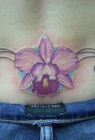 腰間美麗的蝴蝶和藤蔓紋身圖案