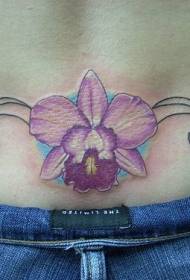 bellissimo modello di tatuaggio farfalla e vite in vita