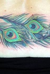 három gyönyörű páva toll tetoválás minták