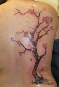 de volta patrón de tatuaje de cerdeira de flores de aspecto xaponés