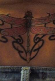 totem tribale nero in vita e motivo tatuaggio teschio