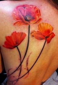 atpakaļ skaistais sarkano magoņu ziedu tetovējums