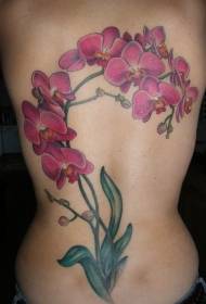 terug mooi paars orchideetattoopatroon