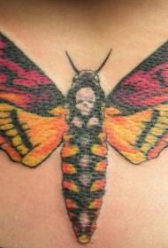 leđa u boji moljac tetovaža uzorak