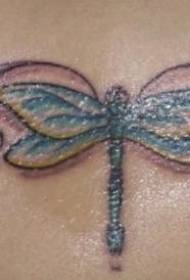 Aftur dragonfly og Vine Tattoo Pattern