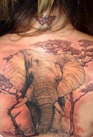 非常に現実的な色の象と木のタトゥーパターンをバックアップします。
