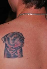 tilbake lille søte Rottweiler tatoveringsmønster