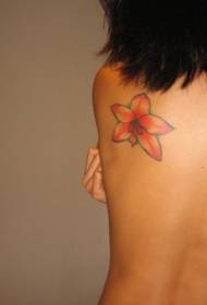 задній кольоровий японський візерунок татуювання орхідеї