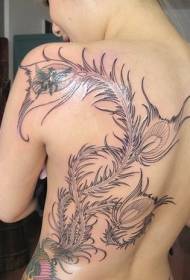 πίσω όμορφο μοτίβο τατουάζ φτερού παγωνιού