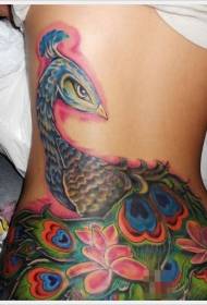 modello di tatuaggio di colore carino fiore di pavone