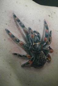 modello realistico tatuaggio ragno 3D posteriore