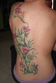 Costas flores cor de rosa e padrão de tatuagem de bambu