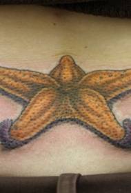 spatele modelului de tatuaj cu stele de mare galben