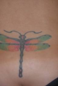 disegno del tatuaggio teschio verde e rosso in vita