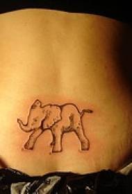 Aftur á móti Elephant Black Line Tattoo Pattern