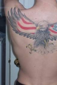 belakang burung helang dengan corak tatu sayap Amerika